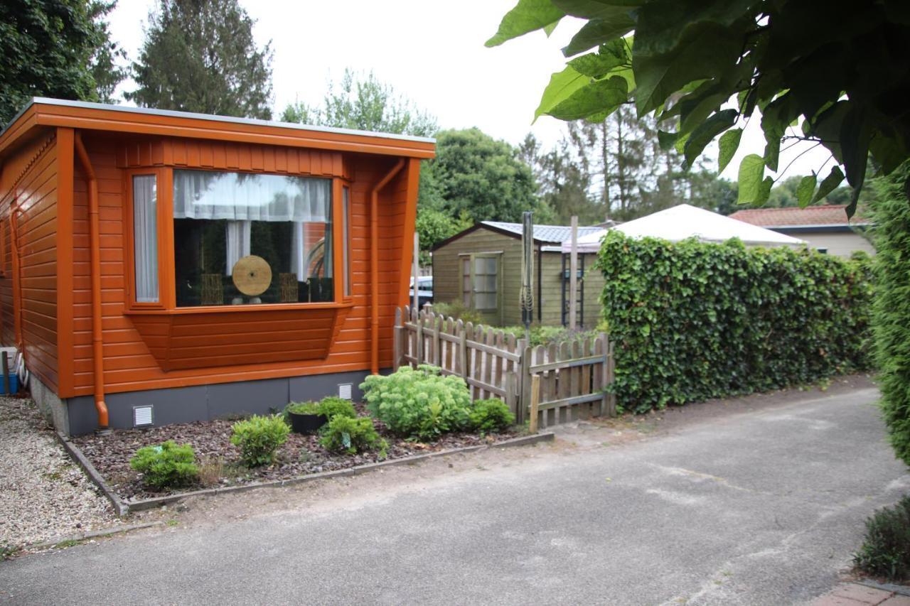 Veluwe Park Reewold Chalet Eclipse Putten Bagian luar foto