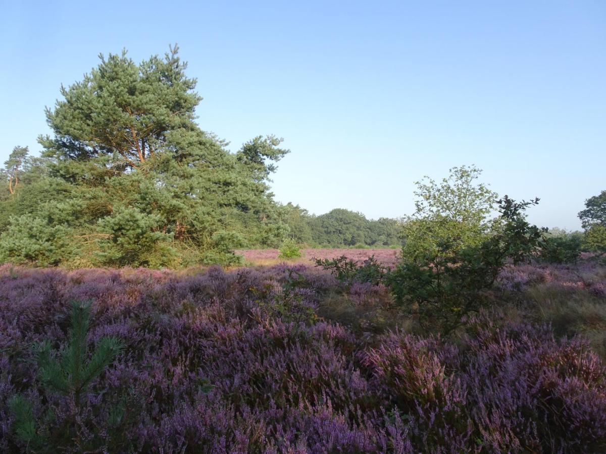Veluwe Park Reewold Chalet Eclipse Putten Bagian luar foto